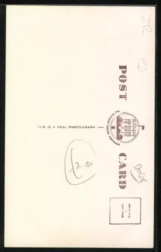 AK Waiting for Master, Terrier