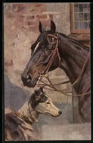 AK Reitpferd und Hund vor einem Stall