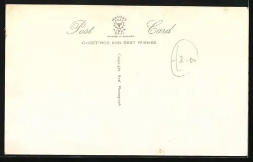 AK Drei junge Siamkatzen