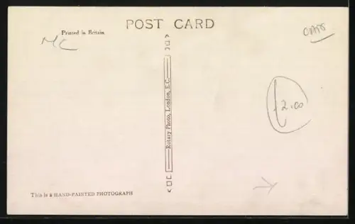 AK Zwei junge weisse Katzen