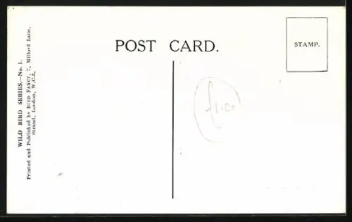 AK Male and Female Whinchats