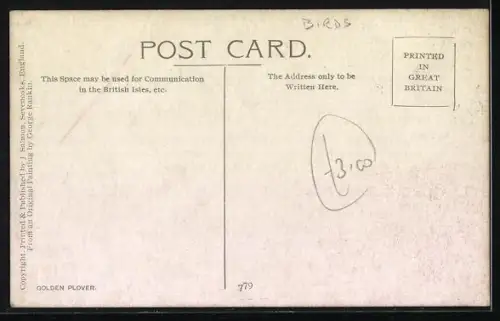 AK Zwei Goldregenpfeifer in einer Wasserlandschaft