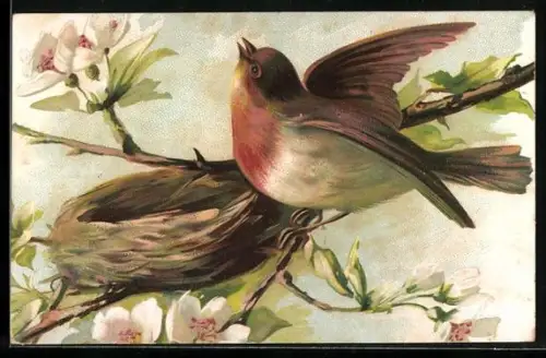 AK Rotkehlchen am Nest zwischen blühenden Zweigen