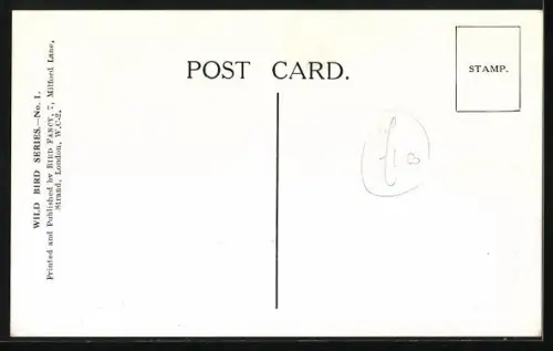 AK Spotted Flycatcher at Nest