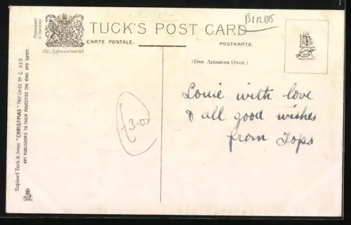 AK Truthahnpaar mit Küken, Weihnachtsgruss