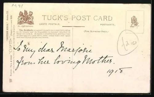 AK Goldfinkweibchen bringt Jungen Futter, Weihnachtsgruss