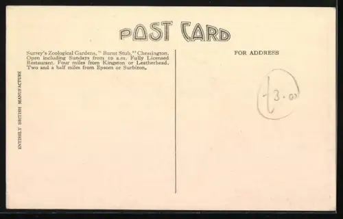 AK Chessington, Surrey`s Zoological Gardens, Pelican with Flamingoes