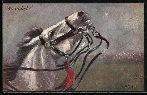 AK Verwundetes Pferd am Rande einer Schlacht