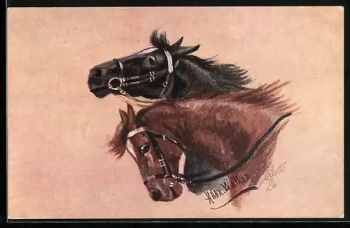 Künstler-AK Horses Heads, Pferde mit Zaumzeug
