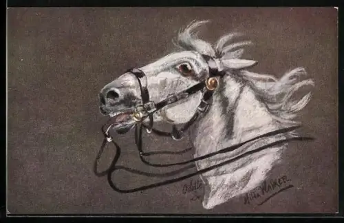 Künstler-AK Horses Heads, Schimmel mit Zaumzeug