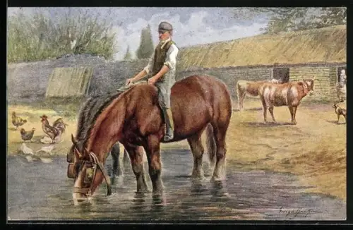 AK Reiter lässt Pferde trinken, Kühe, Hühner, Gehöft