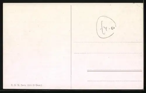 AK Vier edle Reitpferde mit Halftern