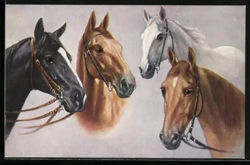 Künstler-AK Vier verschiedenfarbige Pferde mit Zaumzeug