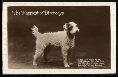AK Terrier, Geburtstagsgruss mit Gedicht
