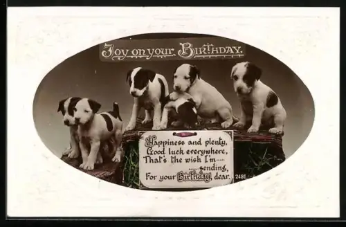 AK Fünf Hundewelpen, Geburtstagsgruss