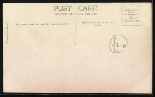 AK Gruppe von Hunden in der Sonne