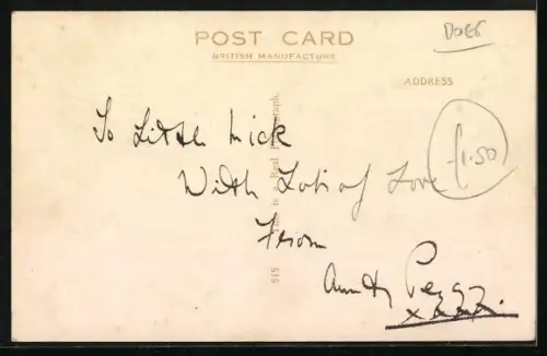 AK Zwei Terrier mit aufforderndem Blick