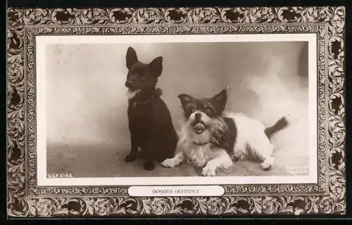 AK Dogged Defiance, Zwei Hunde