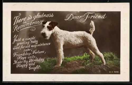 AK Terrier, Portrait, Geburtstagsgruss