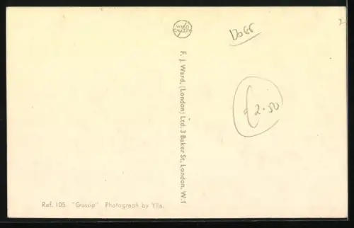 AK Junger Terrier begegnet einer Katze