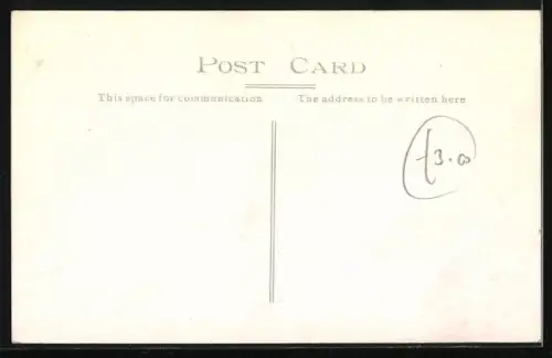 AK Schwarzer Scotchterrier, Portrait