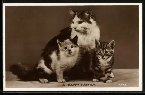 AK Katzenmutter mit zwei Jungen