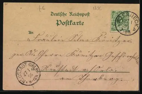 Lithographie Pössneck, Post, Villen, Rathaus, 4 gerahmte Ansichten, Blumenverzierung