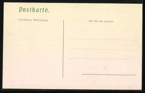 AK Holzminden, Partie in der Neuestrasse mit Kutsche