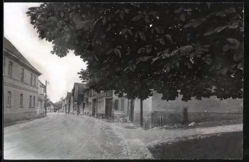 Fotografie Otto Blaubach, Naumburg a. S., Ansicht Ködderitzsch, Strassenpartie im Ort