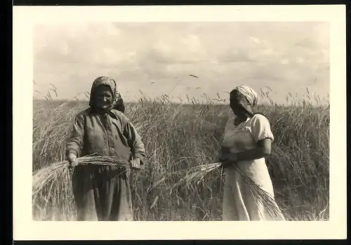 Fotografie zwei Bäuerinnen bei der Feldarbeit, Einholen des Korn