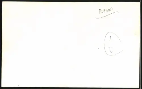 Fotografie Modellflugzeug im Garten