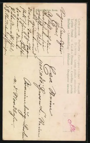 Foto-AK Photochemie Berlin Nr. 882-4: Süsses Mädchen im weissen Kleid