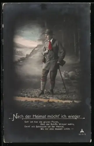 Foto-AK Photochemie Berlin Nr. 9019-5: Wanderer steht sehnsüchtig im Wald