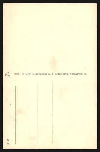 AK Harderwijk, Partie am Linnaeustorentje