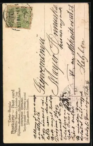 AK Mädchen im rosa Kleid steht an einem Ufer und hält einen Kirschblütenast in der Hand