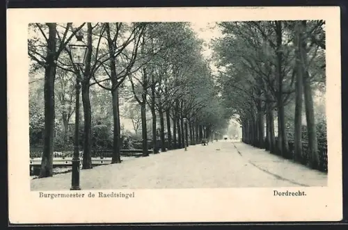 AK Dordrecht, Burgermeester de Raedtsingel