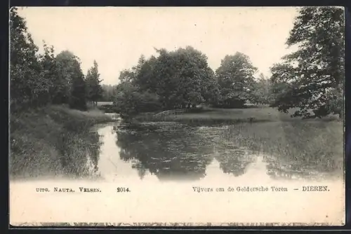 AK Dieren, Vijvers om de Geldersche Toren