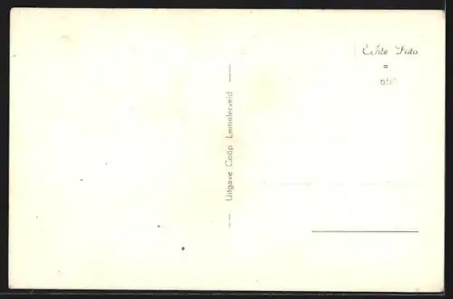 AK Lemelerveld, Geref. Kerk en Pastorie