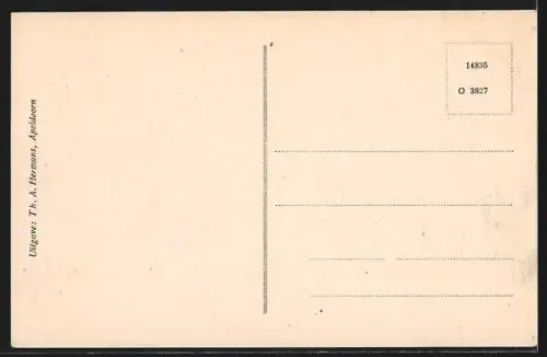 AK Apeldoorn, Hunnenschans a/h. Uddelermeer