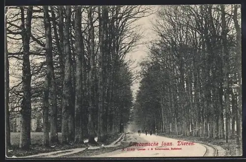 AK Dieren, Ellecomsche Laan