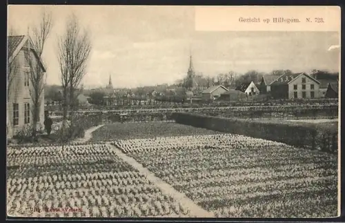 AK Hillegom, Dorpgezicht