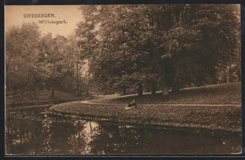 AK Driebergen, Willinkspark