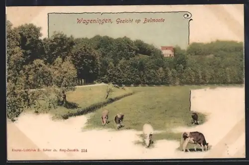 AK Wageningen, Gezicht op Belmonte