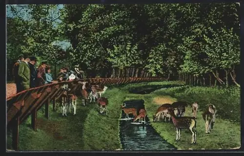 AK Haarlem, Hertenkamp, Reeen