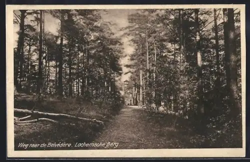 AK Lochem, Lochemsche Berg, Weg naar de Belvédère