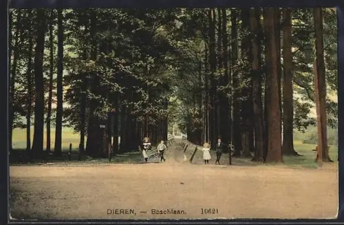 AK Dieren, Boschlaan