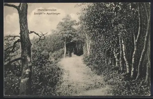 AK Harenermolen, Gezicht in Appelbergen