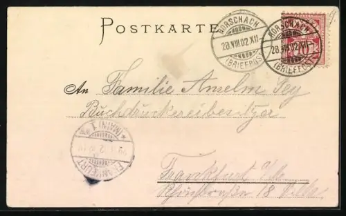 Lithographie Bodenseedampfer König Wilhelm auf der Fahrt