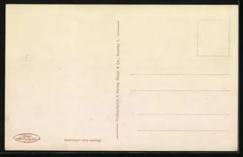 AK Salon-Schnelldampfer Odin auf See