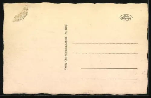 AK Torpedoboote Luchs, Tiger, Jaguar, Iltis und Wolf der II. Torpedobootshalbflottille im Hafen